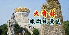操B在线视频导航中国浙江-绍兴大香林旅游风景区